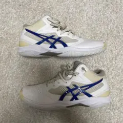 ASICS basketball shoes