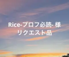 Rice-プロフ必読- 値下げ中様リクエスト品