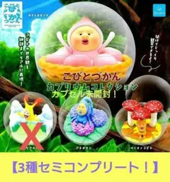 こびとづかん カプリウムコレクション 【3種セミコンプリート！】