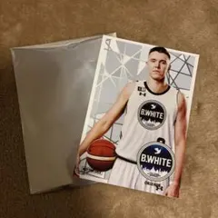 Item thumbnail for item 24cc2cc1-69dd-47b4-961d-20184fae940d