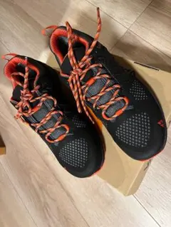 Item thumbnail for item 22b45902-cde1-4427-8012-07e5f229afd6