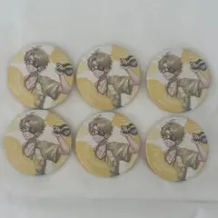カラフルピーチ からぴち たっつん サマーランド 缶バッジ