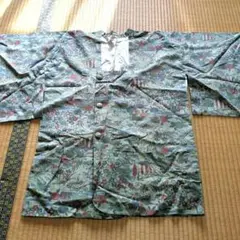 Item thumbnail for item d2597fa7-71e2-4139-a162-686b96768c76