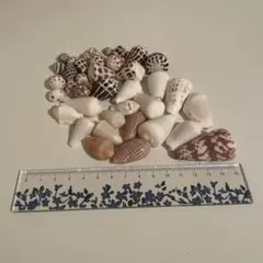 Item thumbnail for item da1bc08f-e934-410d-bd46-50bed5270fd9