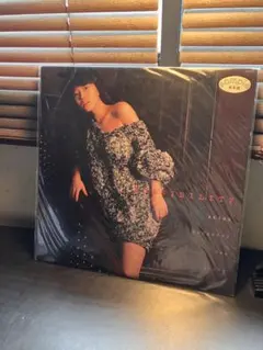 新品】中森明菜／POSSIBILITY（ポシビリティ）高音質180g重量限定盤