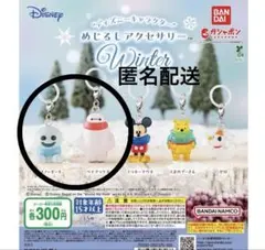 ディズニー めじるしアクセサリー Winter スノーギース ガチャ