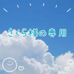 クレヨンしんちゃん×サンリオキャラクターズ フィギュアコレクション