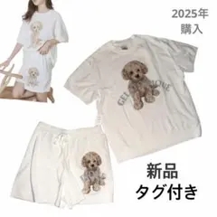 新品タグ付✨ジェラートピケ トイプードルジャガード　半袖　ショートパンツ　セットのサムネイル
