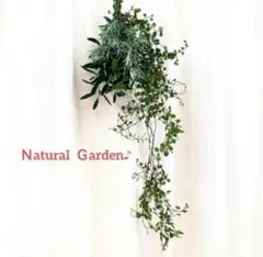 フレッシュ✨オリーブ　ワイヤープランツ　natural スワッグ♪約20✖️30㎝