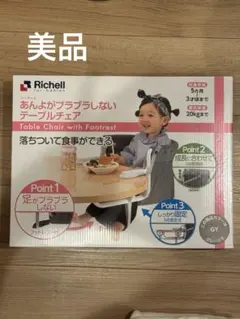 Richell テーブルチェア with Footrest