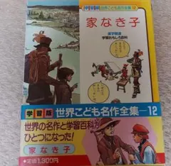 絵本 世界こども名作全集 童話 昭和レトロ 21冊セット 2025年最新】世界こども名作全集の人気アイテム - メルカリ