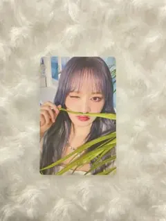 IVE ive IVE ALIVE HMV特典トレカ リズ