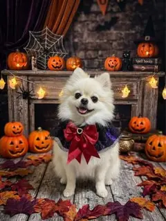 犬　猫　ハロウィン用スタイ　ビブ　ハートビジュー つけ襟　ハンドメイド