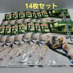 Item thumbnail for item a52bb195-5298-4401-8fd3-03a94be3d6e9