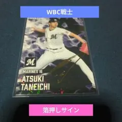 Item thumbnail for item b02c9354-3a7a-4bbf-970e-60d4b03a3e73