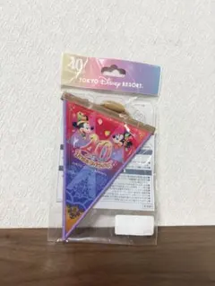 東京ディズニーリゾート ドリームガーランド 赤×青