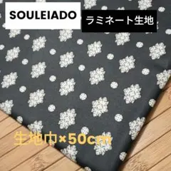 Item thumbnail for item 46679913-6e90-46f1-ab6a-270318e26417