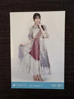 【向井葉月】August-V 2023 ヒキ 乃木坂46 生写真のサムネイル