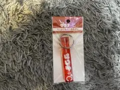 【新品未開封】サウナ +C ミニキーホルダー
