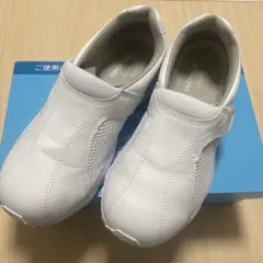 Item thumbnail for item d1f4fe7f-5199-4226-8ef4-a106a5e4bc3f