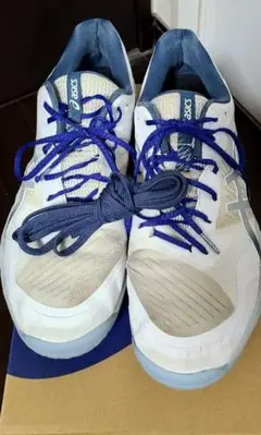 Item thumbnail for item 696e25f1-ef58-4be7-8b68-f03db8d9a2ad