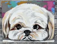 シーズー　イラスト　犬