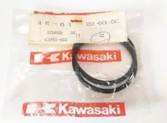 Z1 Z2 キャリパーピストンシール 43049-002のサムネイル