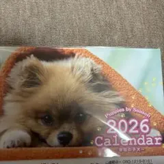 Item thumbnail for item 5be6f1df-da06-48ea-a2b5-b68b73c9fe2c