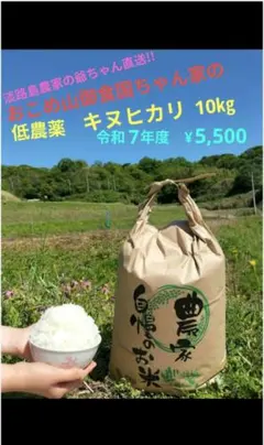 令和7年度兵庫県産キヌヒカリ さっぱりツヤツヤ 冷めても甘い 農家直送 20kg 令和7年度兵庫県産キヌヒカリ さっぱりツヤツヤ 冷めても甘い 農家直送