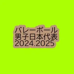 男子バレーボール 日本代表 まとめ売り