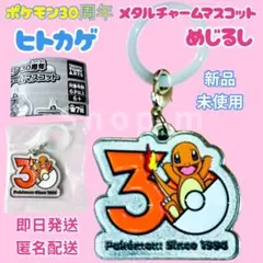 ポケモン 30周年 メタルチャームマスコット めじるしアクセサリー ヒトカゲ