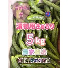 きゅうり 5キロ 農家直送 新鮮野菜 キュウリ 胡瓜 宮崎県産 - メルカリ