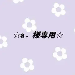 a.様専用ページ