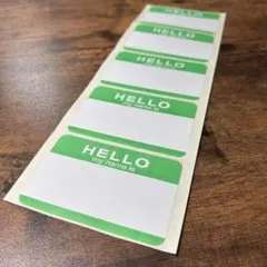 HELLO MY NAME IS ステッカー グリーン 5枚セット