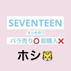 SEVENTEEN ホシ　hoshi