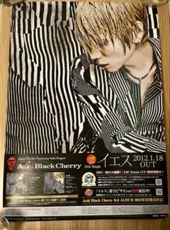 新品】明日夕方発送 Acid Black Cherry ポスター 2枚セット - メルカリ
