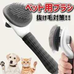 Item thumbnail for item e8f157dd-356a-434a-bf9b-997cdf34db6f