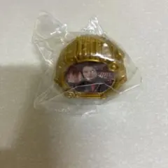 未使用】ゴジュウジャー ファイルライブツアー センタイリング 吠
