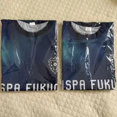 Item thumbnail for item a0e3c2fd-004a-4f95-a3b2-5a25bddff39f