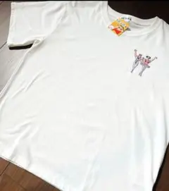 Item thumbnail for item 642a890c-1f7a-487b-9bb3-351c0569c578