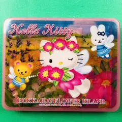 2003年製 レア★ハローキティ 北海道限定フラワーアイランド ケース付きレタセ