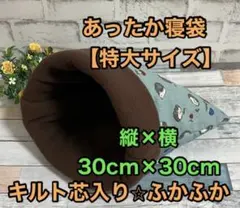 Item thumbnail for item f33d5a2d-c49b-4712-9fcd-12d83d968a53