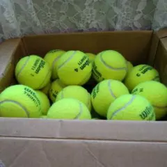 Wilson Triniti 中古テニスボール 58個セット