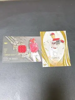 Item thumbnail for item 678b70fc-5202-44e6-8c83-ebb9e5538af3