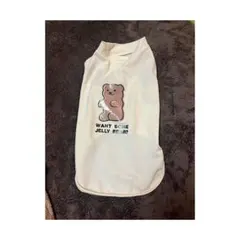 Item thumbnail for item 0a2f6768-70d5-4077-b194-ac02e4c9f672