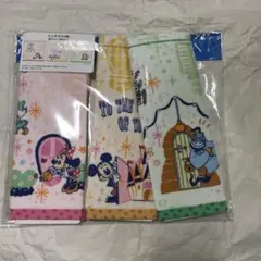 ディズニー　リゾート　ミニタオル　セット