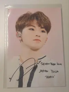 SEVENTEEN 2019 ウジ L判ネットプリント