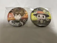 家庭教師ヒットマンREBORN! 天野明展　缶バッジ 沢田綱吉 リボーン