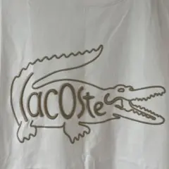 LACOSTE ラコステ Tシャツ ホワイト FR3