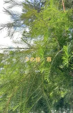 うめ様　よろしくお願いいたします